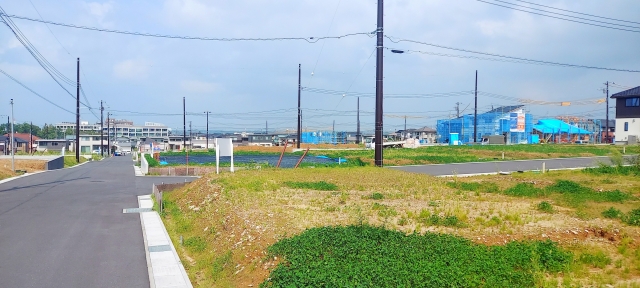 菊陽の特徴と市場動向